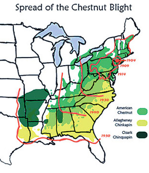 map of the spread of the chestnut blight