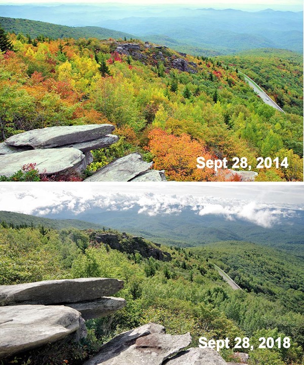 fall color comparison