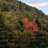 Grandfather Mtn, 9-22-19