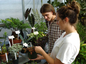 Students in the greenhouse