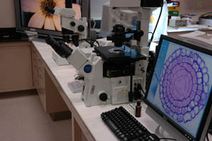 microscopy lab