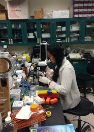 Alicia Ramsaran in the lab