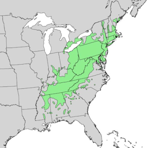 original range of the American Chestnut