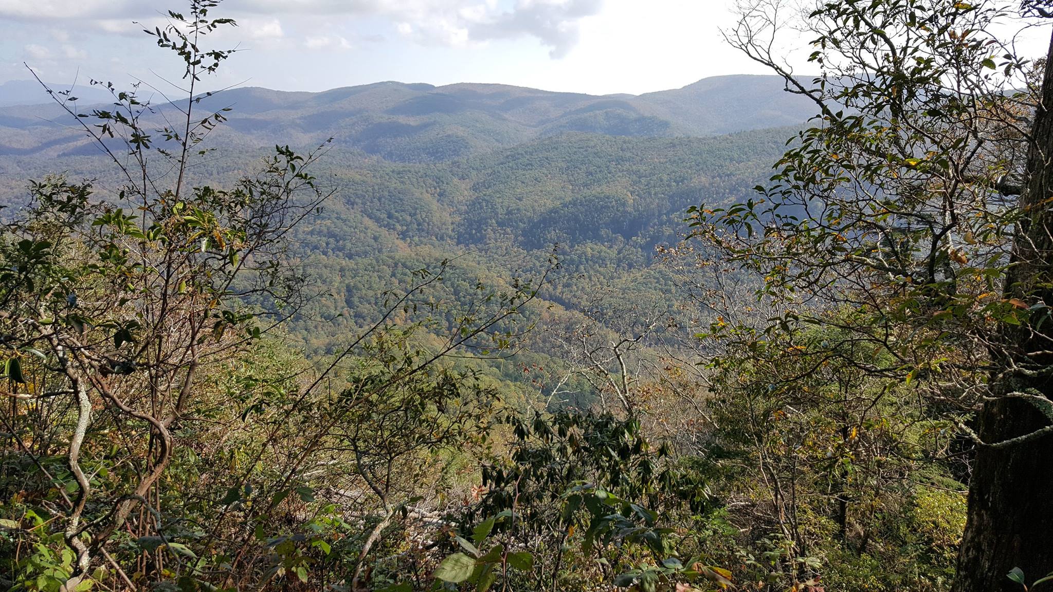 Fall color panoramic picture