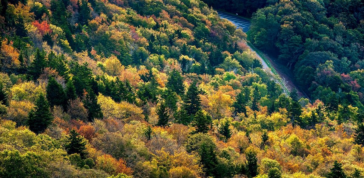 Grandfather mtn