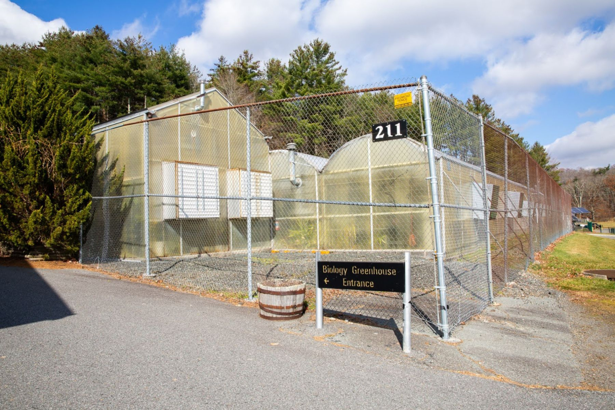 The entrance to the Greenhouse.