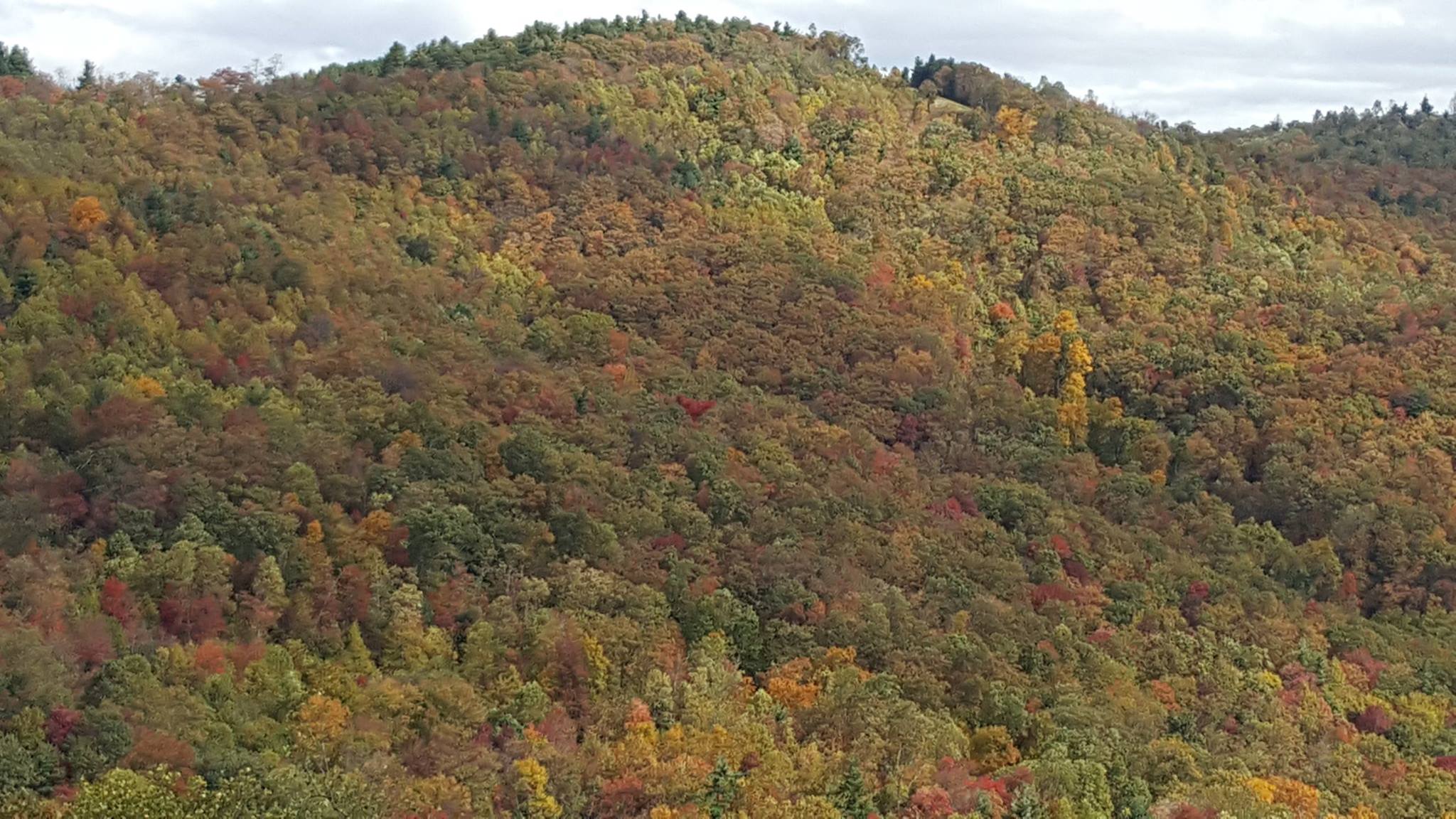 Blue Ridge Mountains photo