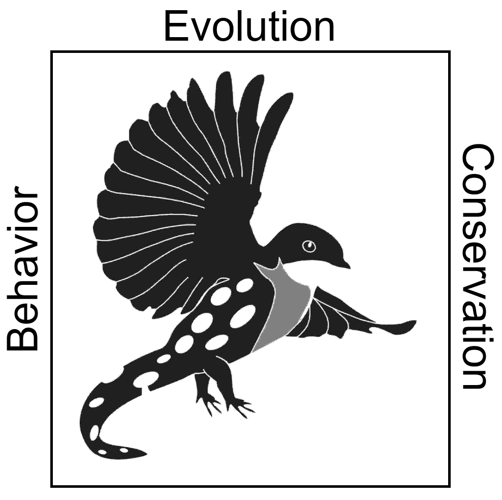 Behavior - Evolution - Conservation