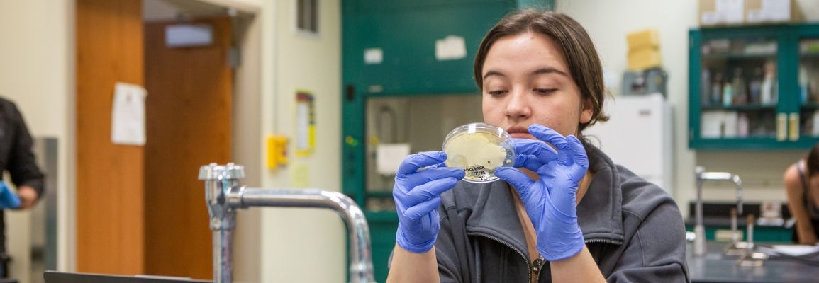 A student in the lab.