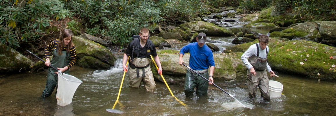 fish researchers in a stream