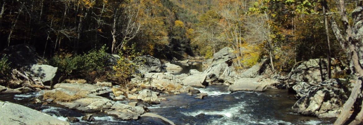 The Watauga Riber