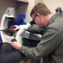 Darren Seals at microscope