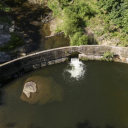 The Shulls Mill Dam is visible on the Watauga River, near Boone, N.C., Wednesday, June 26, 2024. Hellbender Salamander’s are being captured and moved to a safer place on the river. (AP Photo/Mike Stewart)