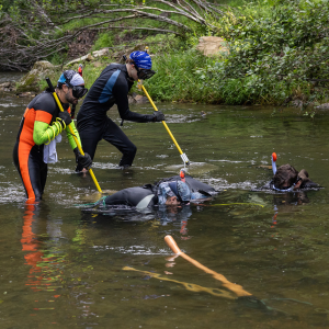 The App State hellbender team surveys the New River near Boone. Pictured, from left to right, are biology graduate students Brent Kinser, Aidan Hedges and Hutch Whitman, App State alumna and lab technician Emily Gillikin '24 and recent App State graduate Hunter Comeford. Photo by Chase Reynolds